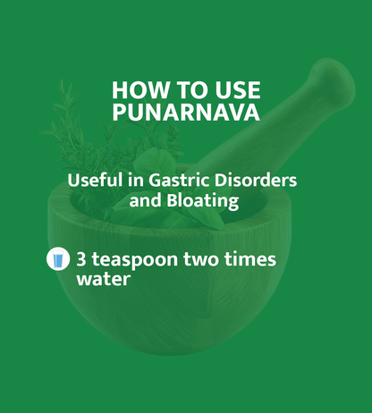 PUNARNAVA